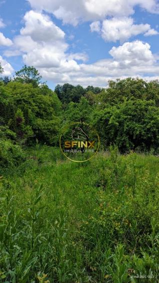 Teren intravilan de vanzare in Breaza – Strada Primaverii - 11