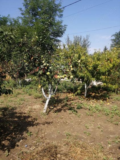 Casa la tara cu gradina - 9