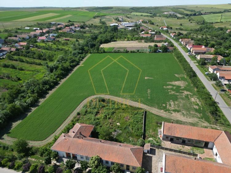Teren Construcții intravilan de 16716 mp, în Petrovaselo