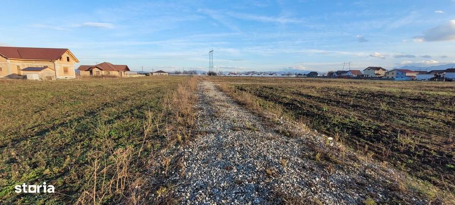 Vindem parcele de teren cu utilitati - Halchiu - 7