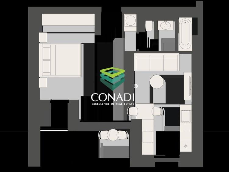 Studio dublu de inchiriat pet friendly Aviatiei - 10