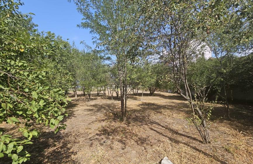 Vanzare Teren Baneasa Lac=Petrom City - 8