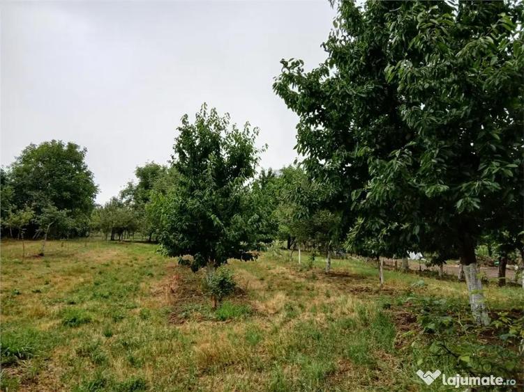 Reco Casa si teren in Budureasa, langa Statiunea Stana de Va - 1