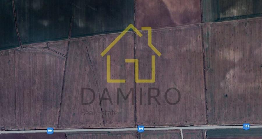 Teren Intravilan 5000 mp Buftea Tamasi - 6