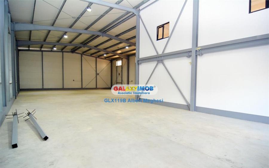 Hala 590 mp Chitila Rudeni- centura - 11