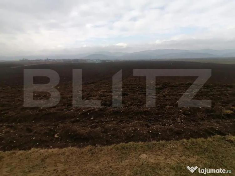 Teren extravilan 21300 mp zona Vintu de Jos - 1