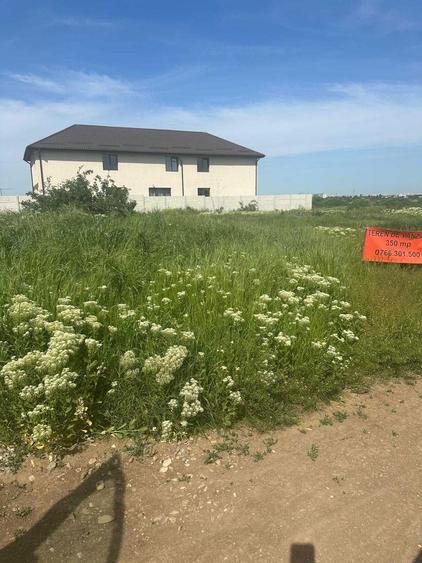 teren de vanzare Magurele - 2