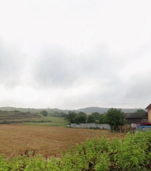 Teren 6800 mp in zona metropolitana Simnicul de Sus - 1