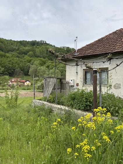 Vand casa ?i teren in Munteni, comuna Bulz, cu ie?ire la DJ - 1