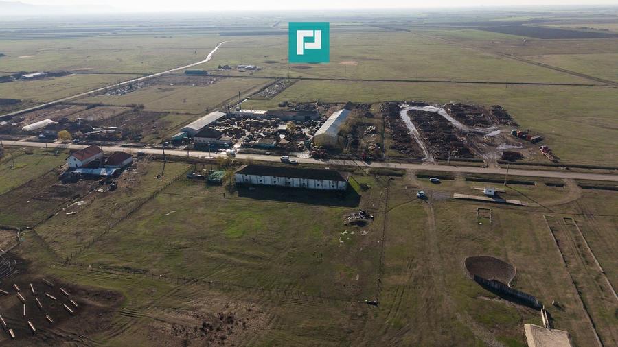 Hală industrială cu teren generos în Zărand, Arad - 58