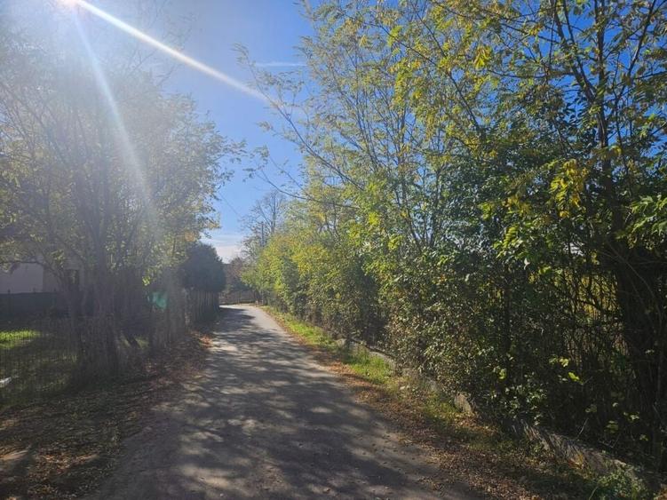 Teren intravilan Ploiesti Bucov - 5