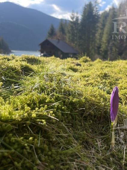 Teren cu constructii cu deschidere la lacul Dragan - 13