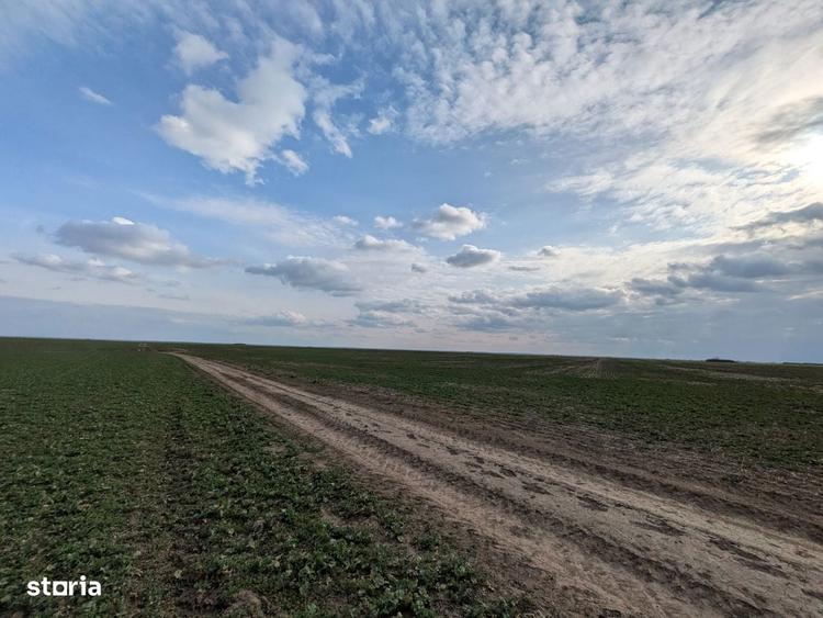 Loturi intravilane 300 mp, la 10 km de Centura Sud Bucure?ti - 4