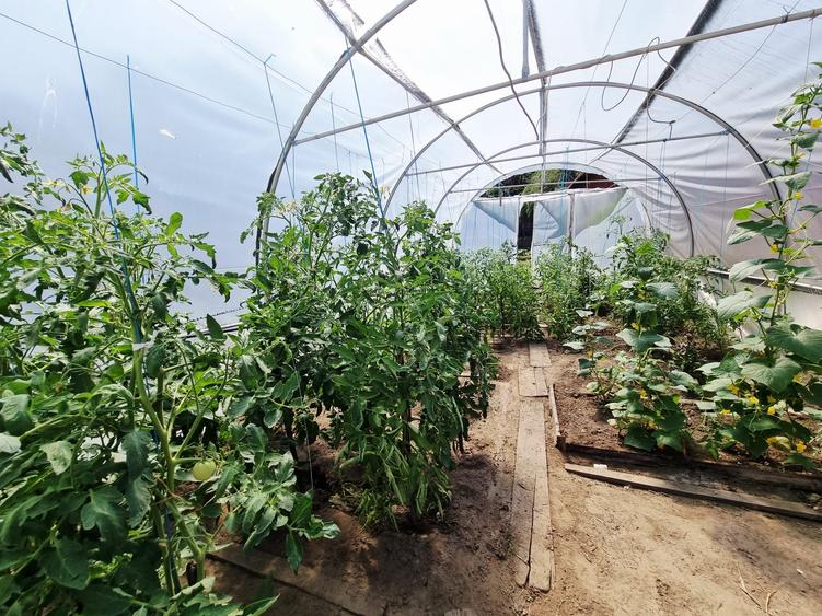 Proprietate mixta 1200mp teren locuinta si spatiu comercial / productie - 5