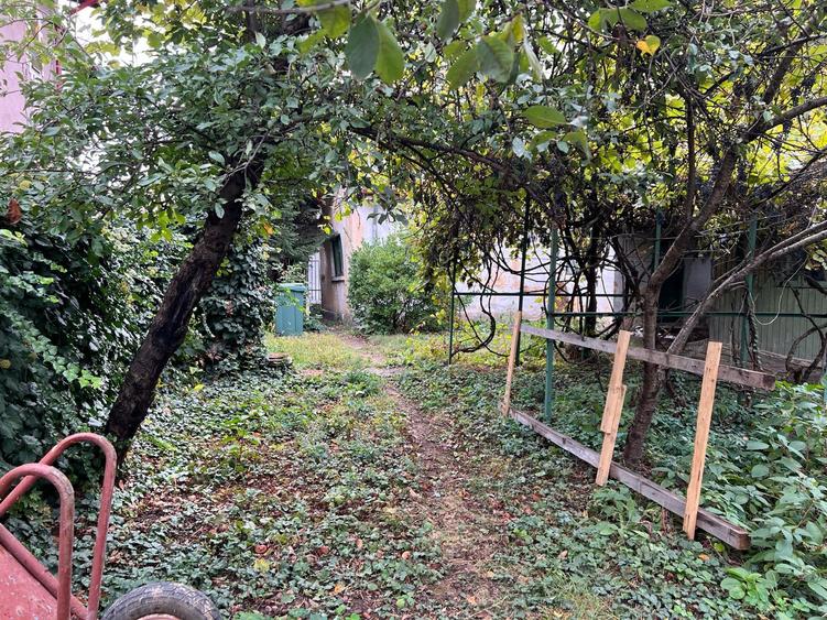 Bucurestii- Noi - zona Bazilescu, str. Pietei - 2