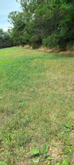 Proprietar vând teren cu casa demolabila - 3