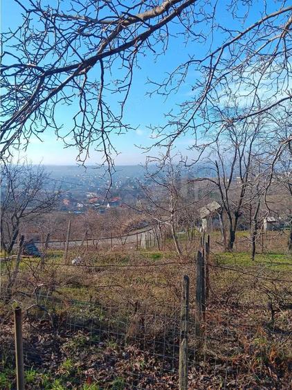 Bucium, Fundac Paun, teren1500mp. intravilan str asfaltata - 2