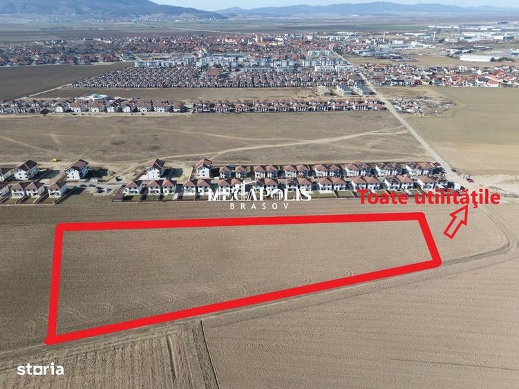 Teren 12.500 mp Ghimbav Cartierul Florilor | Ghimbav - 2