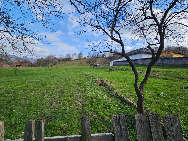 Teren intravilan Comanesti Bacau cu utilitati - 6