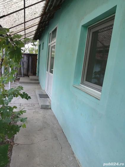 Casa cu teren 2877.mp la 27 km de Timi?oara - 8