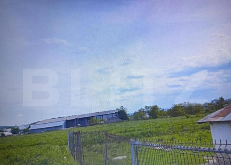 Acolo unde lini?tea devine acasa proprietatea si un te - 2