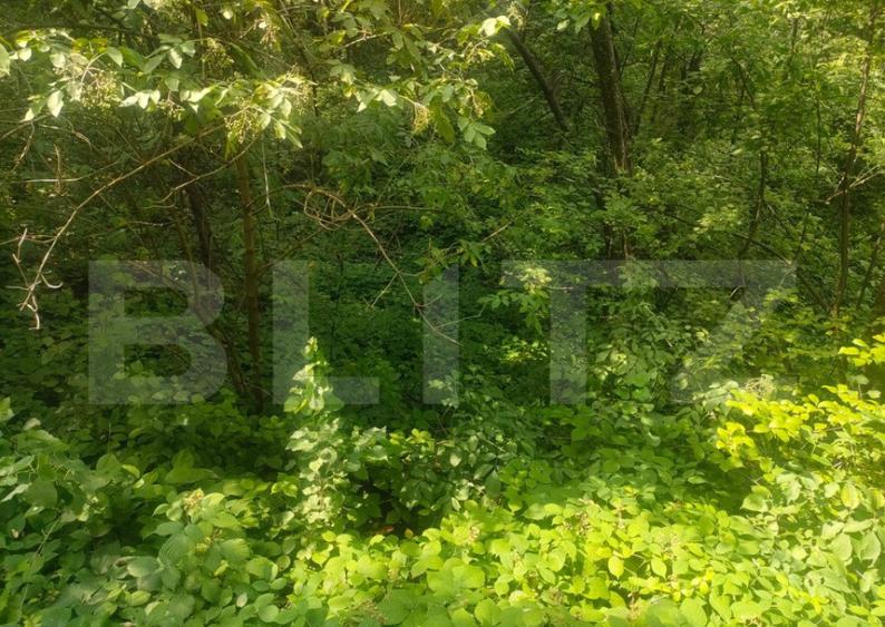 Teren intravilan, 5857 mp, Baltati, Horodnicu de Sus - 2