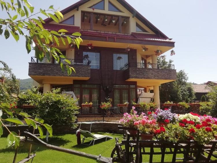 Vila de lux in Valea Doftanei, mobilata si utilata - 2