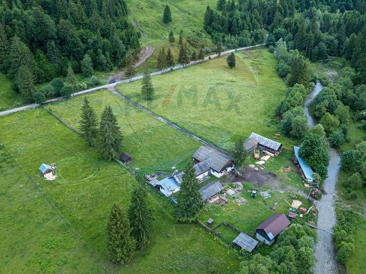 Ferma de vanzare, teren 21436 mp intravilan, Cosnea, Agas - 8