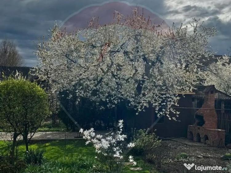 Casa / Vila cu 8 camere de vanzare in zona Central - 4