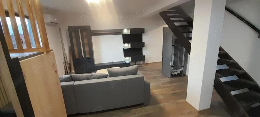 Casa P+M de inchiriat Clinceni Put Olteni - 20