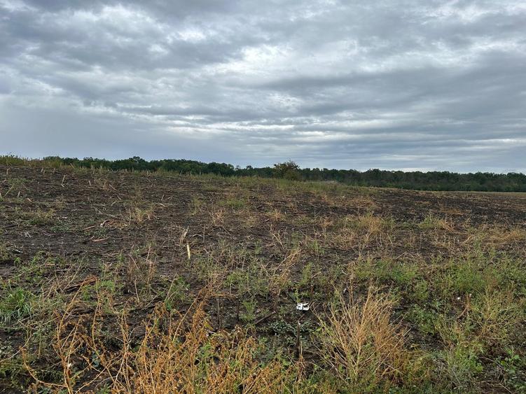 MOARA VLASIEI TEREN INTRAVILAN LA LAC SI PADURE - 5