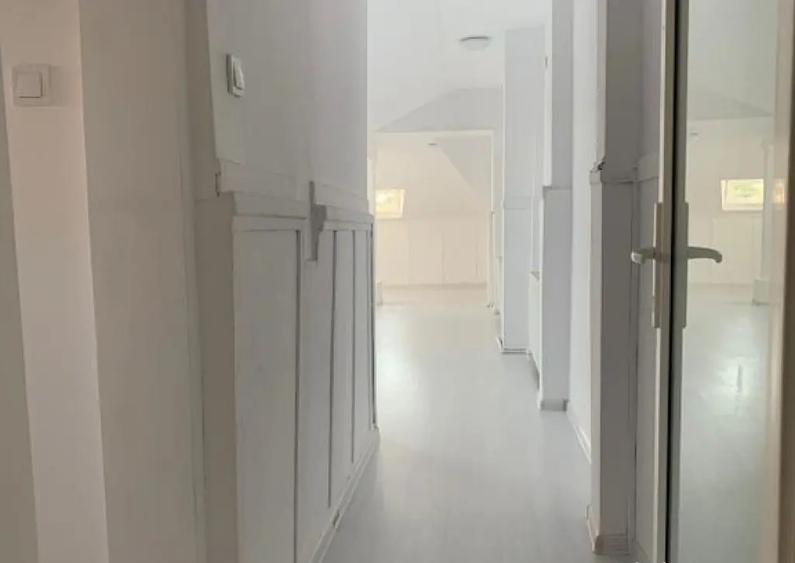 Casa cu destinatie comerciala 335 mp - 1