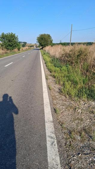 MCD Expert Imobiliare Vanzare teren agricol, Zona Izvoare - 2