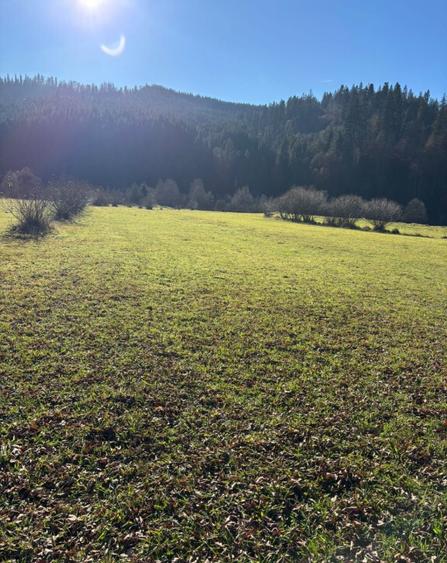 Teren intravilan - 6