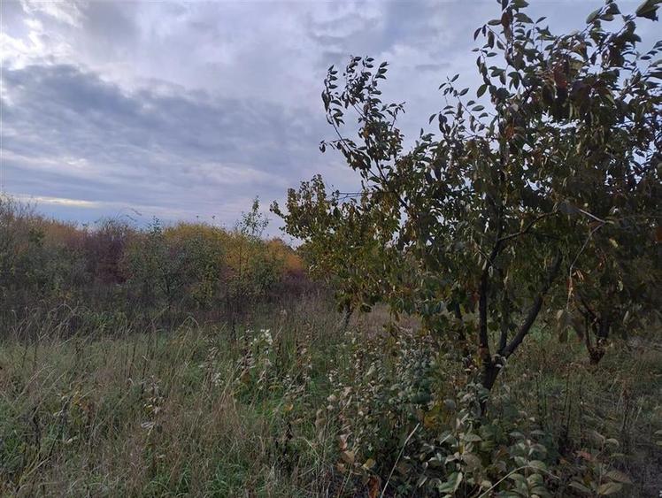 RECO Teren intravilan Miersig - 2