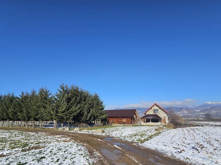 Casă de vacanță cu 6 camere + teren suprafață 7.384 mp, Brădet, Bihor - 1