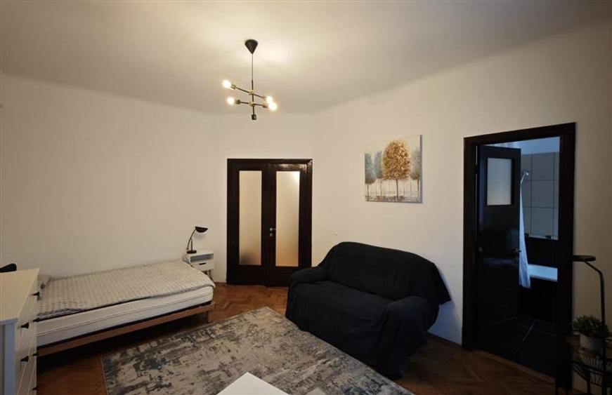 Garsoniera Cismigiu - 7