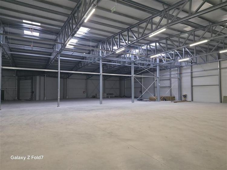 Inchiriere depozit/hala/spatiu industrial Mogosoaia - Buftea - 8