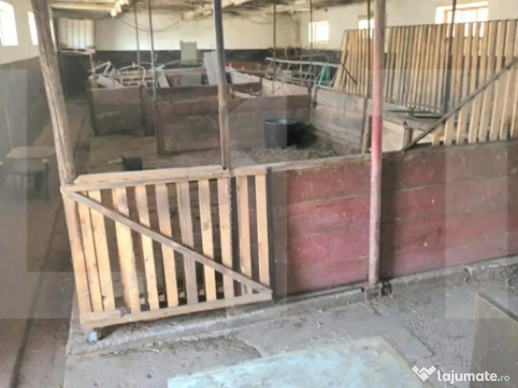 Proprietate cu casa la ro?u ?i teren 5.500 mp Zaice? - 2