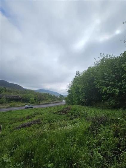 TEREN  PENTRU BUSSINESS 2842 MP DE VANZARE IN STATIUNEA  TARGU OCNA - 4