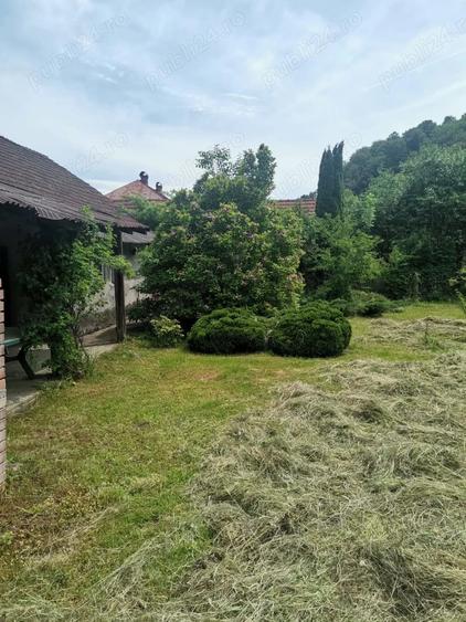 Casa Caras Severin Rusca Montana - 8