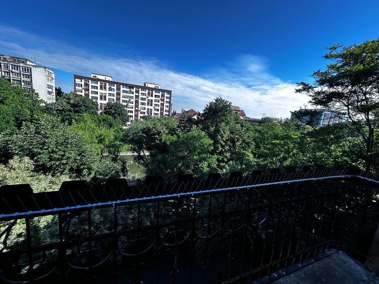 Apartament foarte spațios și elegant - 11