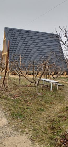 Cabana din lemn la Baisa - 1