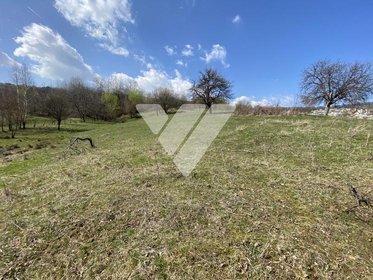 Teren Extravilan de 6630 mp - Cisnadioara - 5