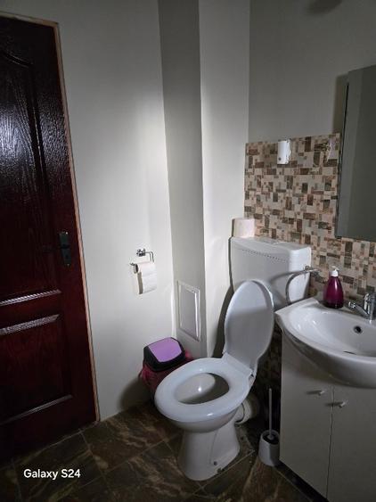 Vând apartament în Remetea Mare - 10