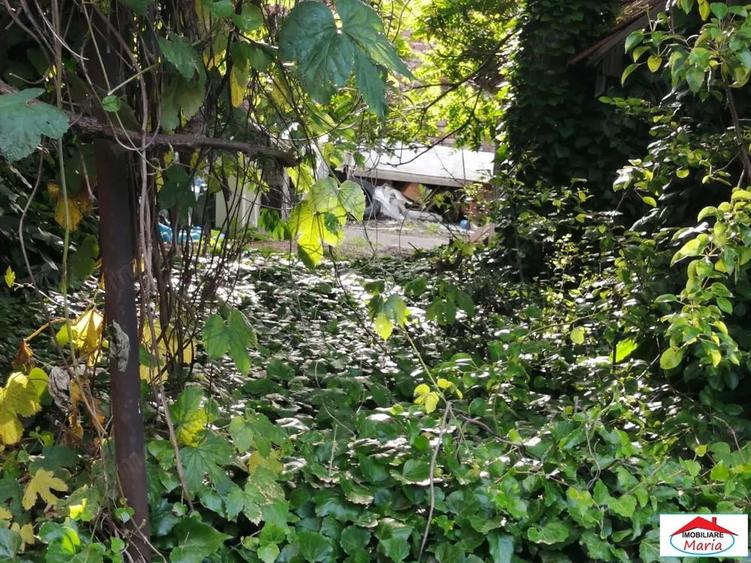 Casa cu spatii comerciale si locuinta zona centrala - 5