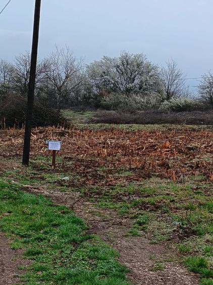 Teren de vanzare Alba Iulia - 1