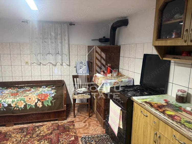 Casa individuala cu teren mare in Remetea Mare - 5