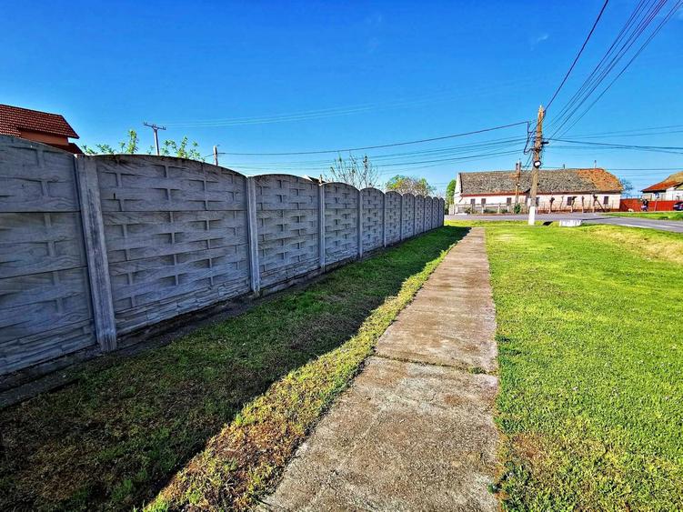 TEREN DE VANZARE in comuna Periam - 450 mp - 7