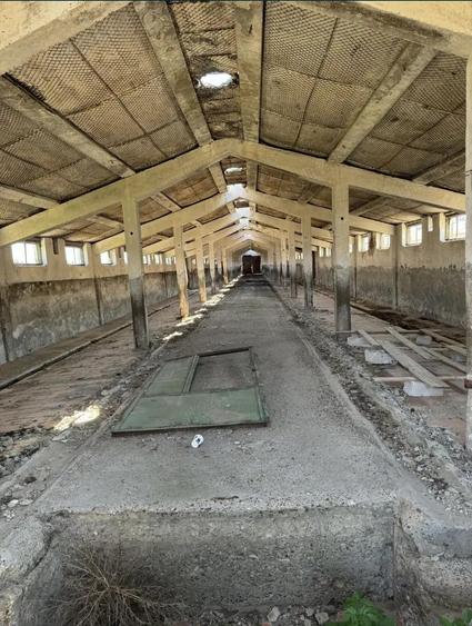 Ferma de vanzare Mara?e?ti - 3